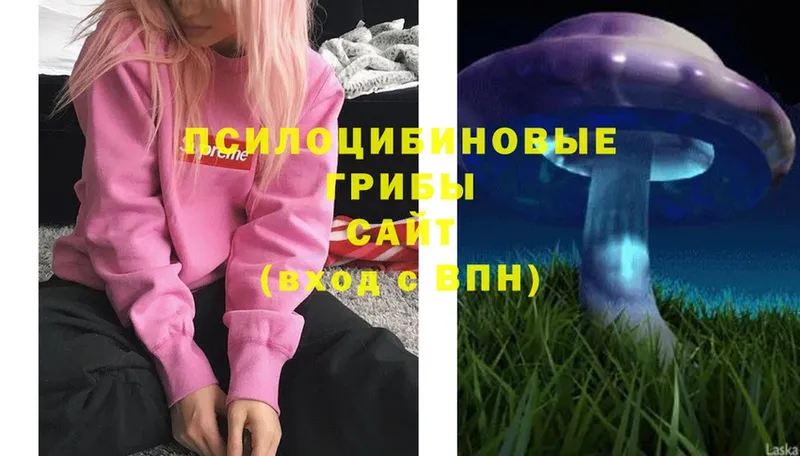 что такое   Струнино  Галлюциногенные грибы MAGIC MUSHROOMS 